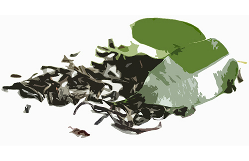 Green tea leaf