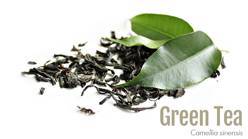 Green tea leaf with label